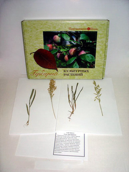 Гербарий культурных растений (28 видов)