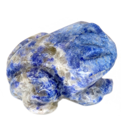 Лягушка содалит асс.