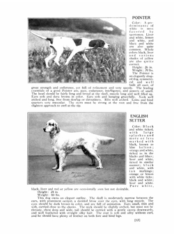 Dogs of all nations | Walter Esplin Mason