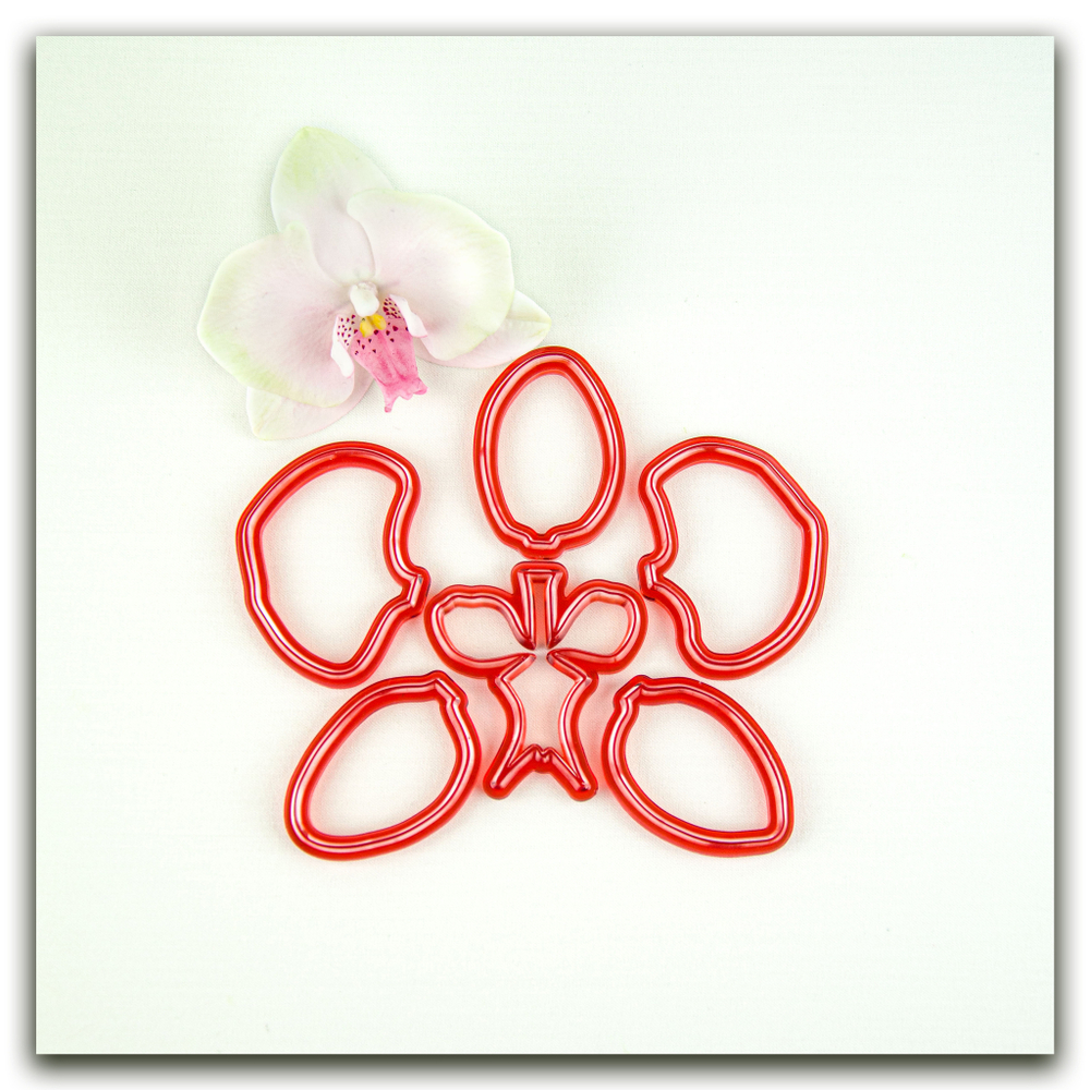 Орхидея фаленопсис L