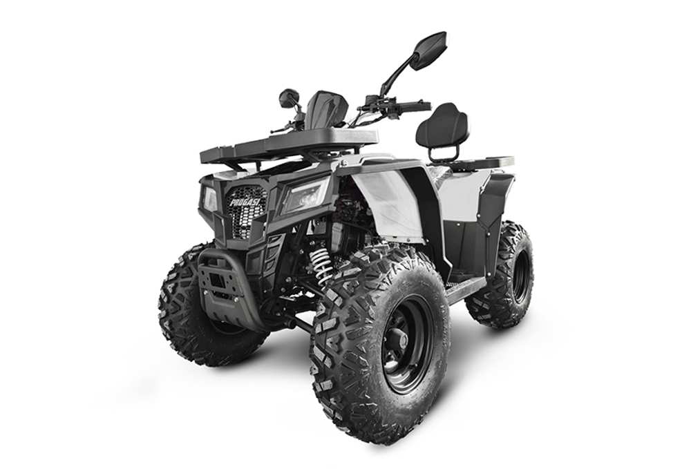 Комплект для сборки квадроцикла PROGASI Race Jumper 200 Max Power