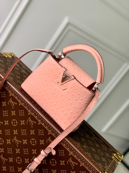 Louis Vuitton Capucines Mini