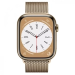 Apple Watch Series 8, 41мм, из стали золотого цвета, миланский сетчатый браслет