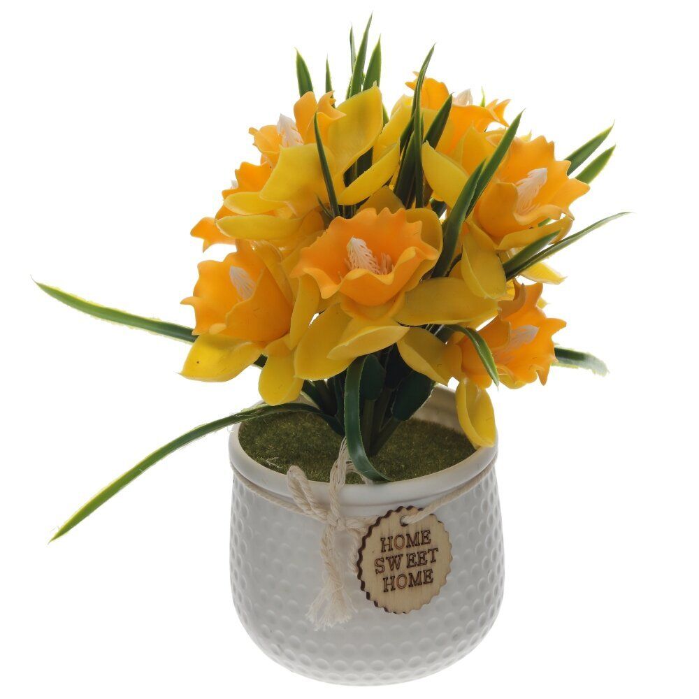 GAEM Цветочная композиция "Нарцисс", L15 W15 H23 см