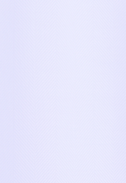 Seidensticke_252_10_01.845261 (1)