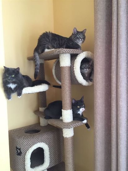 Дом для кота С-12