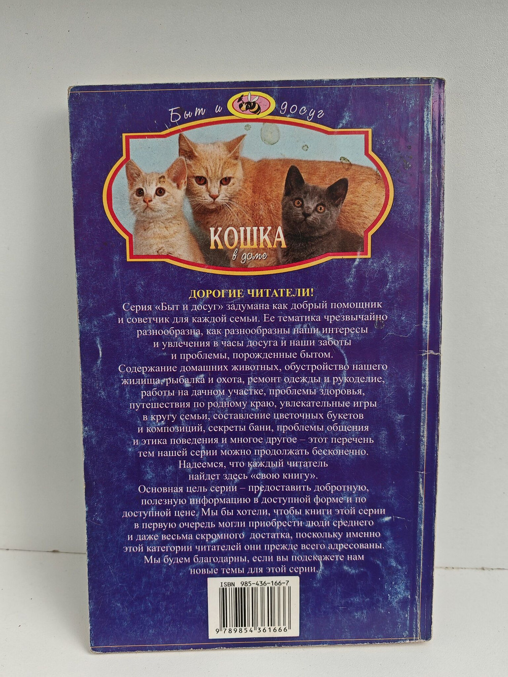 Кошка в доме