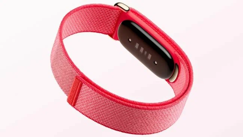 Google Fitbit Air