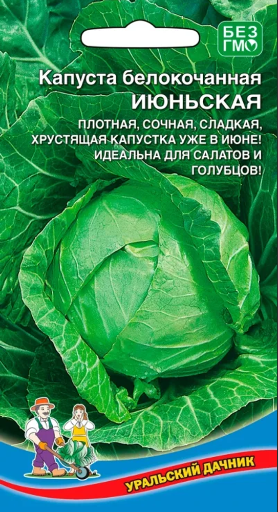 Уральский Дачник капуста белокочанная 0,1гр ( цветной пакет ) ИЮНЬСКАЯ /10