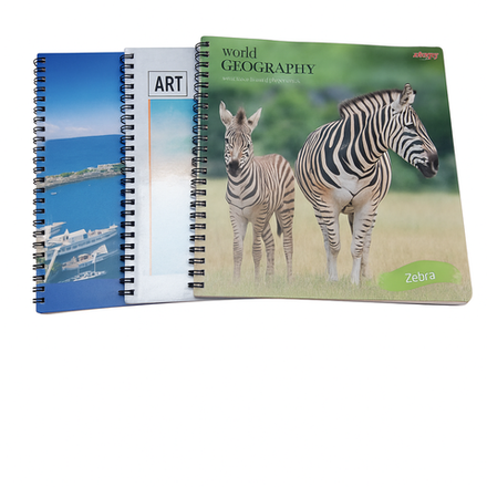 Тетрадь Aydar 48 л