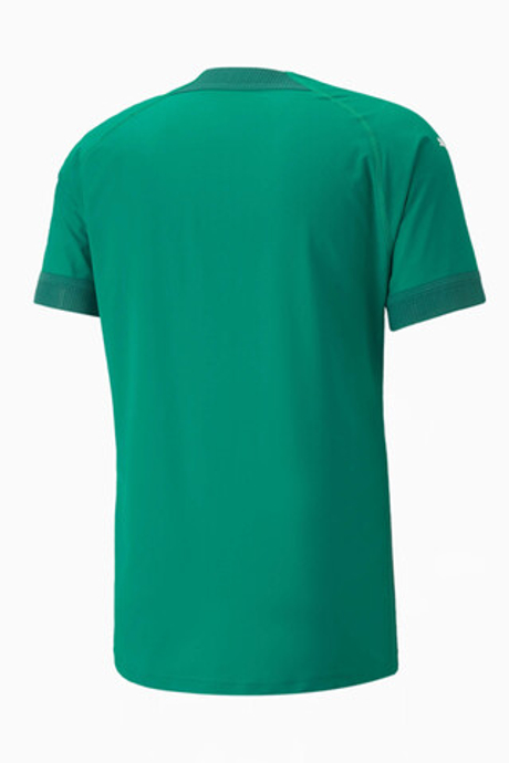 Футболка Puma teamFINAL