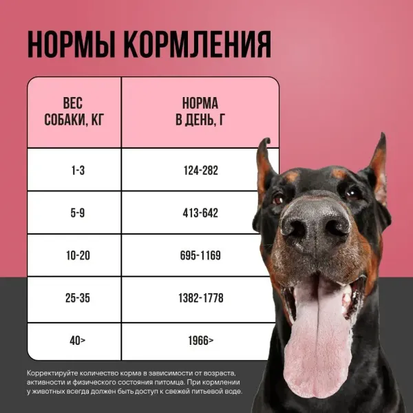 Консервы BOWL WOW для взрослых собак всех пород с говядиной и овощами