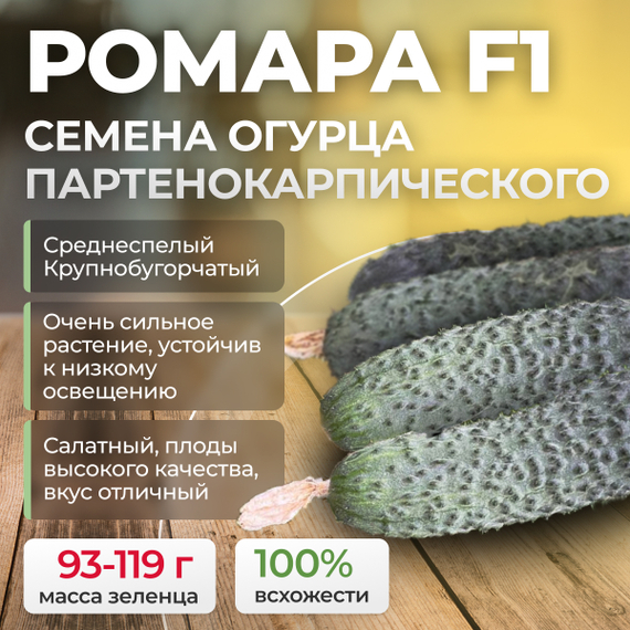 РОМАРА F1 семена огурца (Rijk Zwaan) культура – фото 1