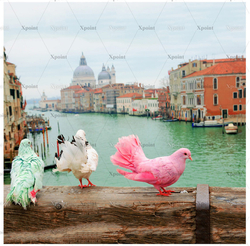 Микровелюр Xpoint (Икспоинт) 0027.01 Голуби