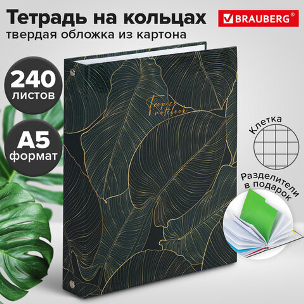 Тетрадь на кольцах А5 175х215мм, 240л, твердый картон, с разделителями, BRAUBERG, Листья, 404099