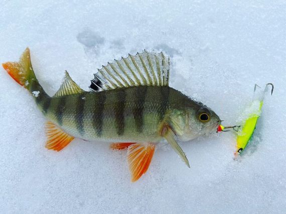 Балансир Lucky John NORDIC 4 с тр. 40мм/29 блистер