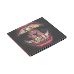 КОМПАКТ-ДИСК (CD-ДИСК) БРХ