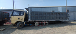 Shacman (Shaanxi) SX* 8x4 Самосвал SX33186T366 (Дизельный, 11,6 л, 369 л.с., МТ)