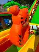 Коммерческий надувной батут «Мир Сафари 2», 14*7*7,5 м.