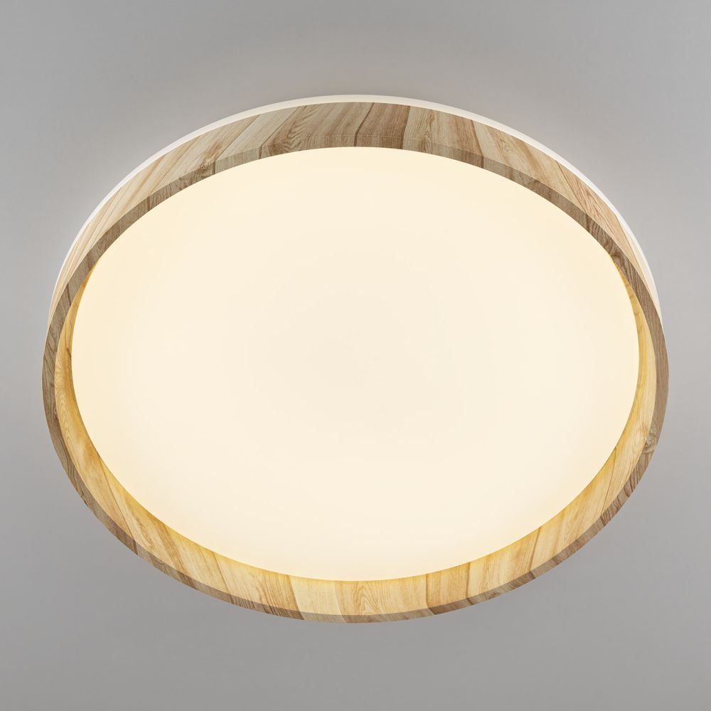 Citilux ENZO CL753452G LED RGB Светильник с пультом Клён