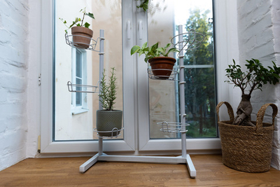 Сад на окне. Композиция №2