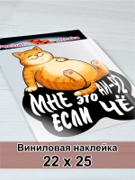 Наклейка - На авто АИ-92 Довольный рыжий кот