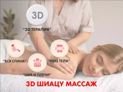 Массажное кресло FUJIMO OPTIMA F555