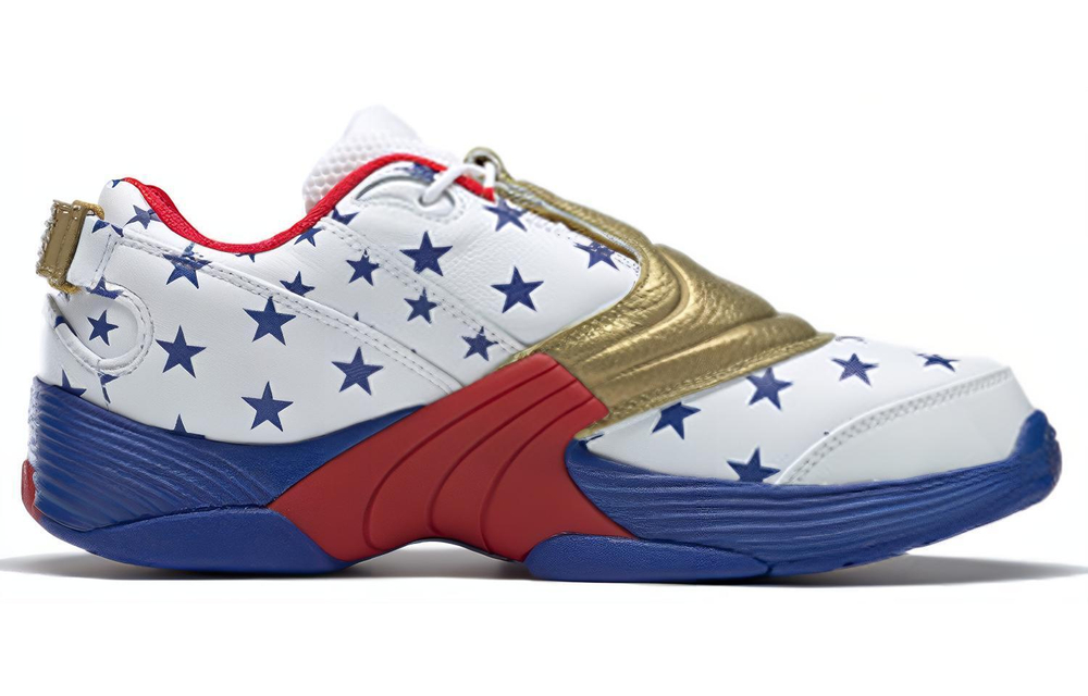 Кроссовки Reebok Answer V Mu Pu