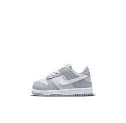 Детские кроссовки Nike Dunk Low 'Two-Toned Grey' DH9761-001