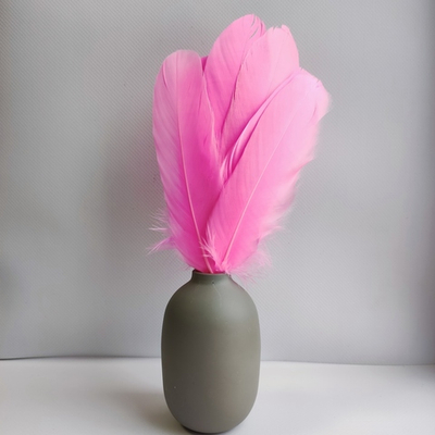 Гусиные перья ярко-розовые ровные 20шт.