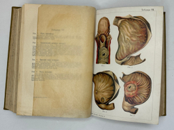 Платен М. Новый способ лечения. Лечение целебными силами природы. — Берлин: Изд. Просвещение, 1901