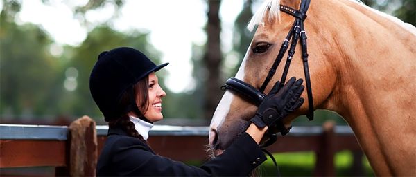 Лошадь может общаться с человеком при помощи картинок Лошадь может общаться с человеком при помощи картинок