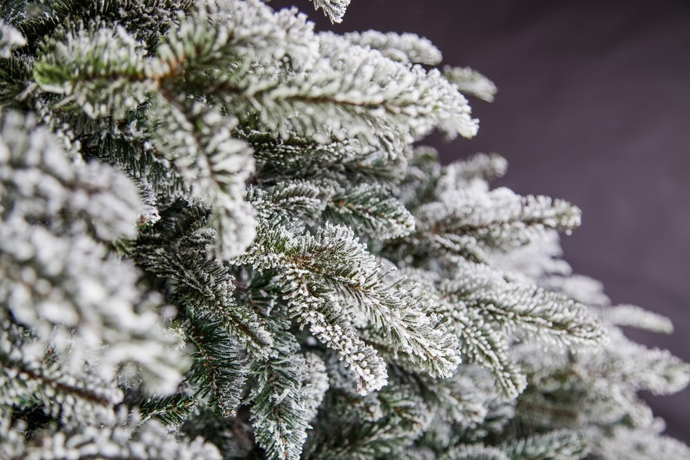 Ель 215см Black Box Стильная заснеженная