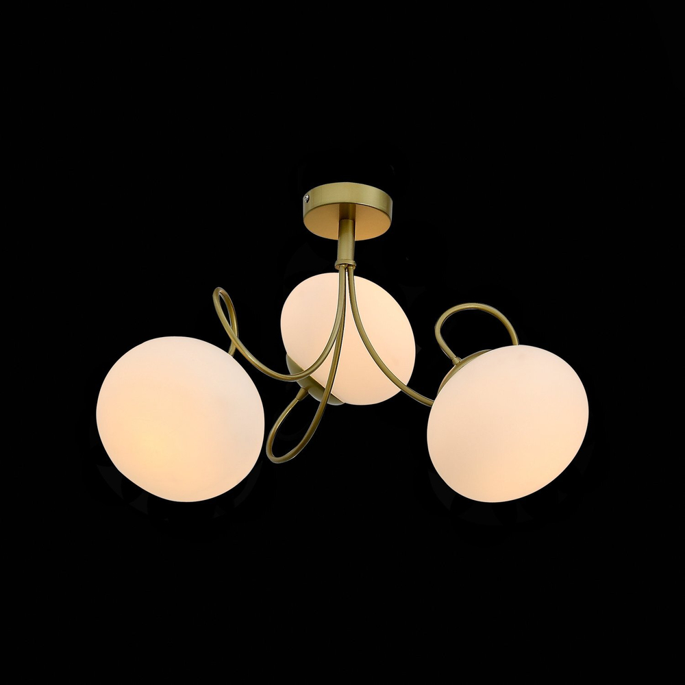 Светильник потолочный Evoluce Acini SL717.202.03