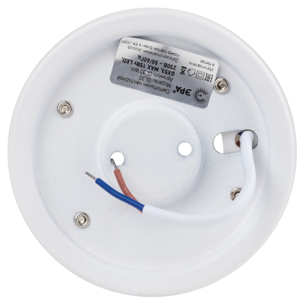 Светильник настенно-потолочный спот ЭРА OL30 WH GX53 белый | 