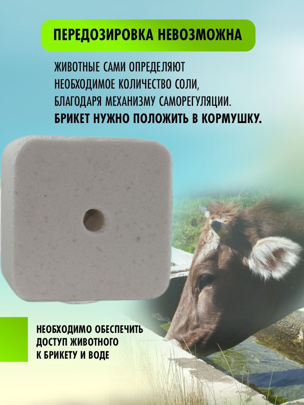 Соль для животных лизунец Лимисол