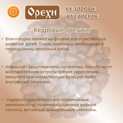 Орех кедровый Алтай.