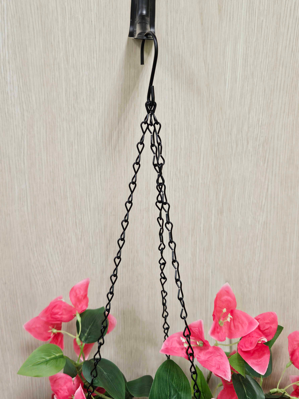 Цветы Бугенвиллии в подвесном кашпо