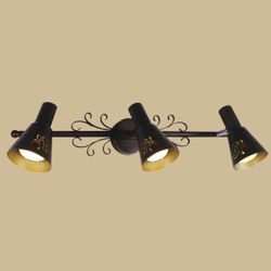 Citilux Дункан CL529531 Спот поворотный Коричневый