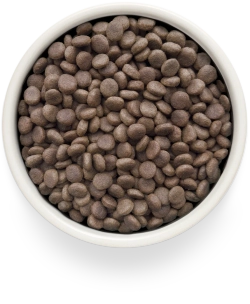 Grandorf RENAL, Gluten & Grain Free, Veterinary Diet (Turkey)