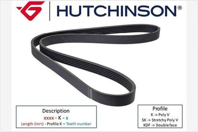 HUTCHINSON - 805K6-HUT - V-Ribbed Belt