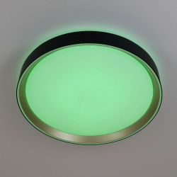 Citilux BOSS CL751351G LED RGB Светильник с пультом Чёрный с Золотом