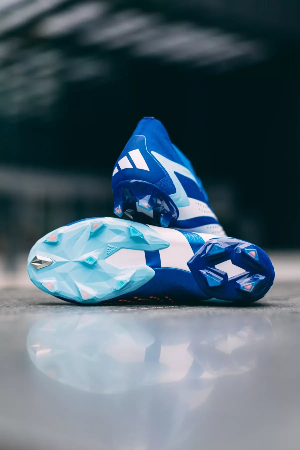 adidas Predator Accuracy.1 FG GZ0038