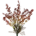 Искусственные цветы «Волшебство трав» 38см Аспарагус красный
