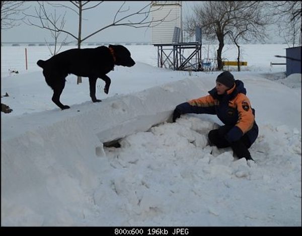 Зимние забавы с пользой для дрессировки