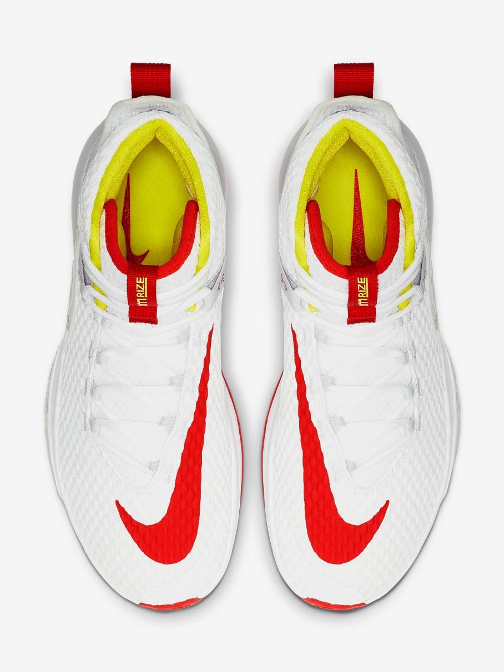 Кроссовки баскетбольные Nike Zoom RIZE
