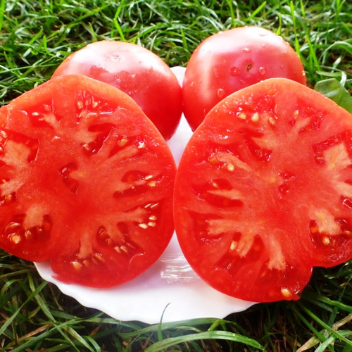 Помидоры Julia Child - Дитя Джулии