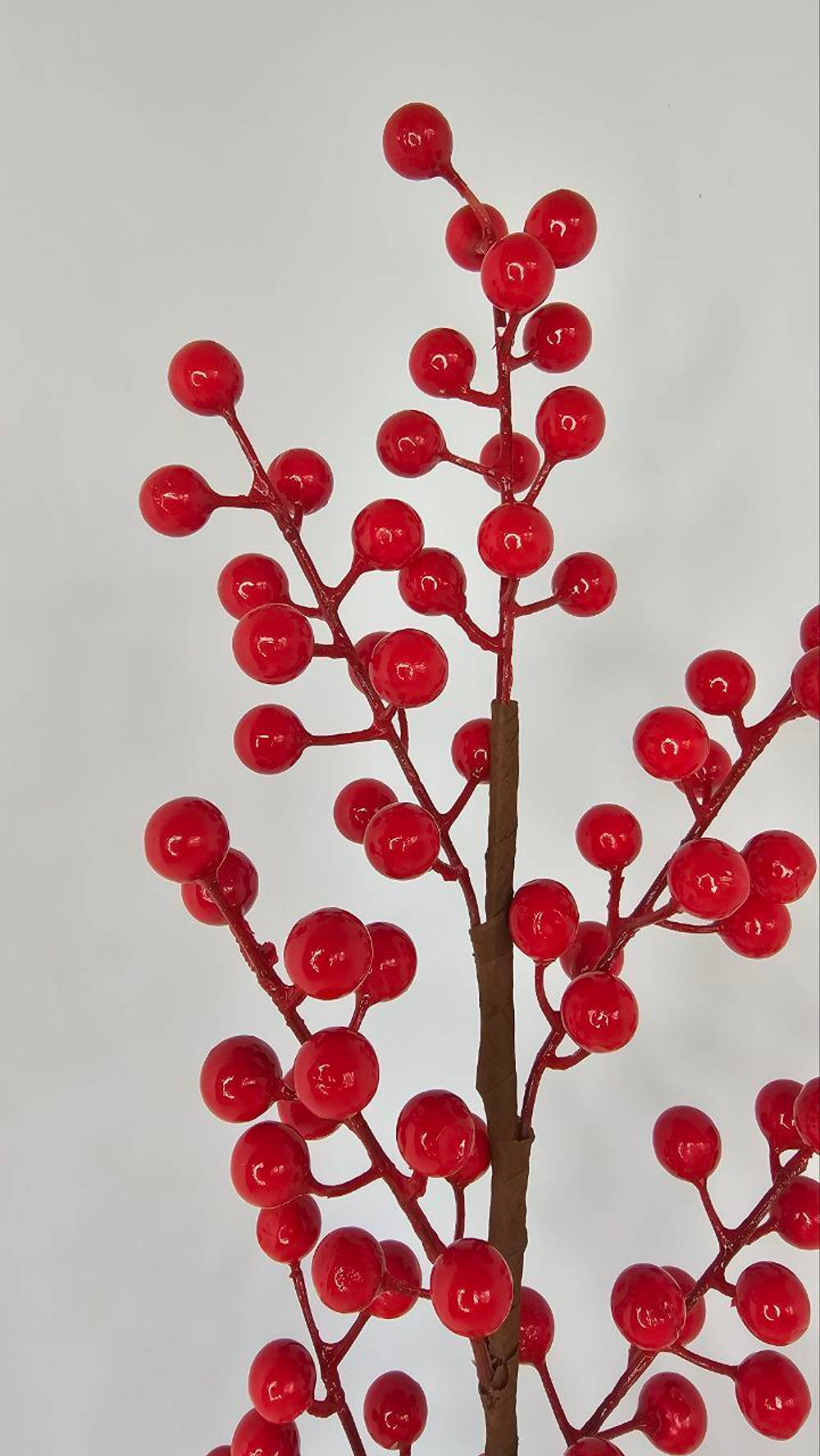 Ягоды / Арт 8036