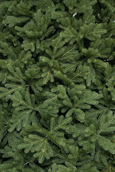 Интерьерная искусственная елка Городская 6 м., 100% литая хвоя, ЕлкиТорг (197600)