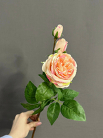 Роза пионовидная с 2 маленькими бутонами розовая (h59 см)